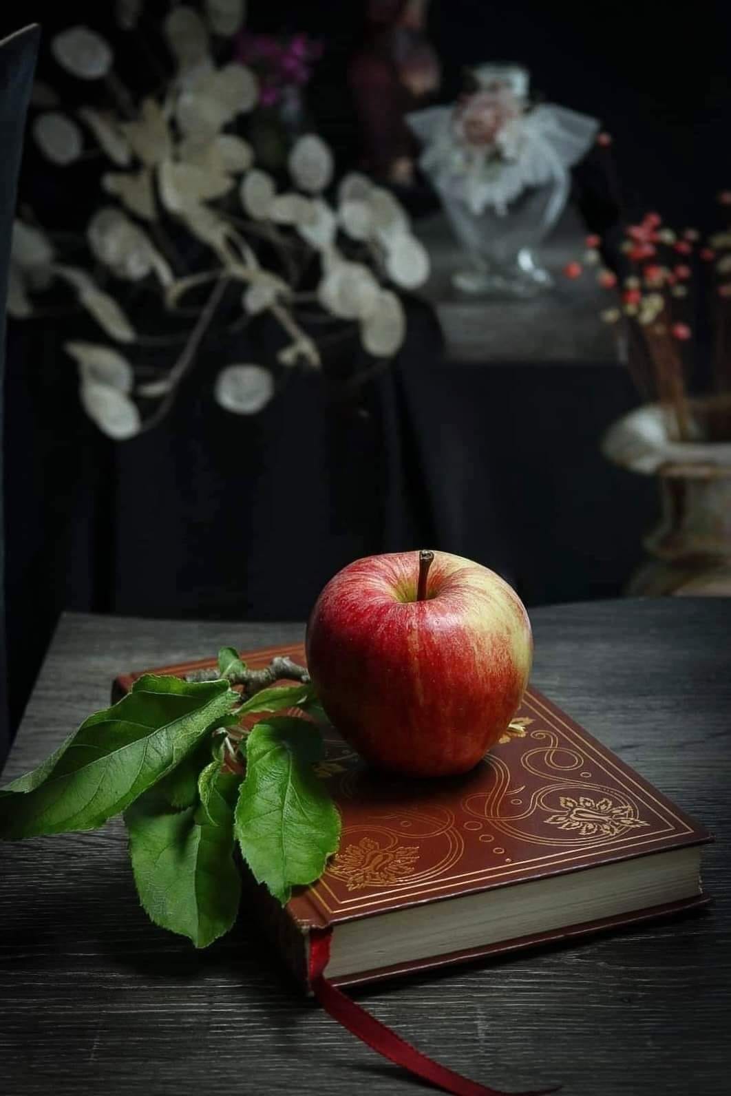 A red apple on top of a book